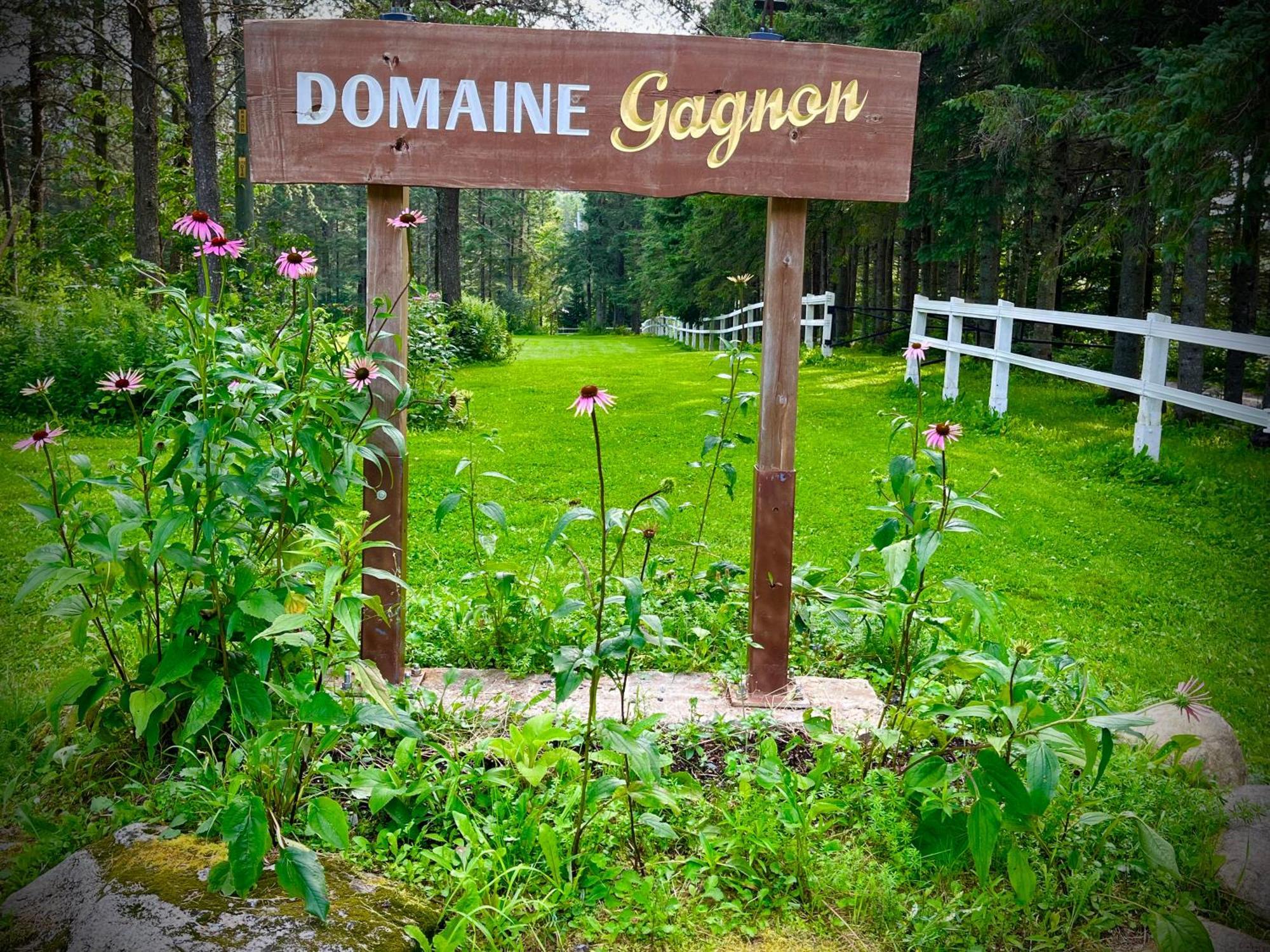 Domaine Gagnon Villa Saint Sebastien Ngoại thất bức ảnh
