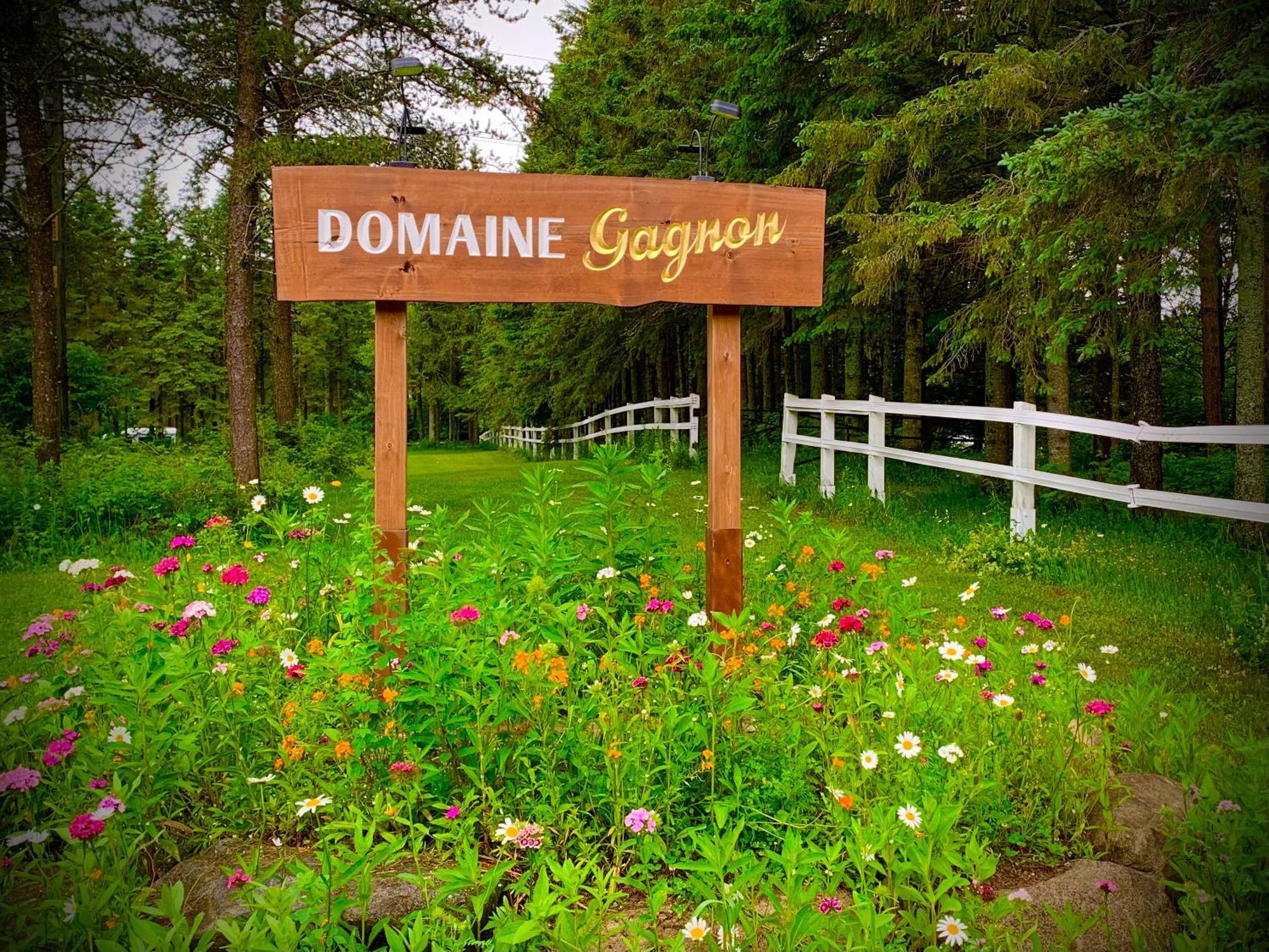Domaine Gagnon Villa Saint Sebastien Ngoại thất bức ảnh